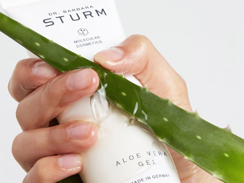 Is aloe vera good for skin? A dermatologist weighs in