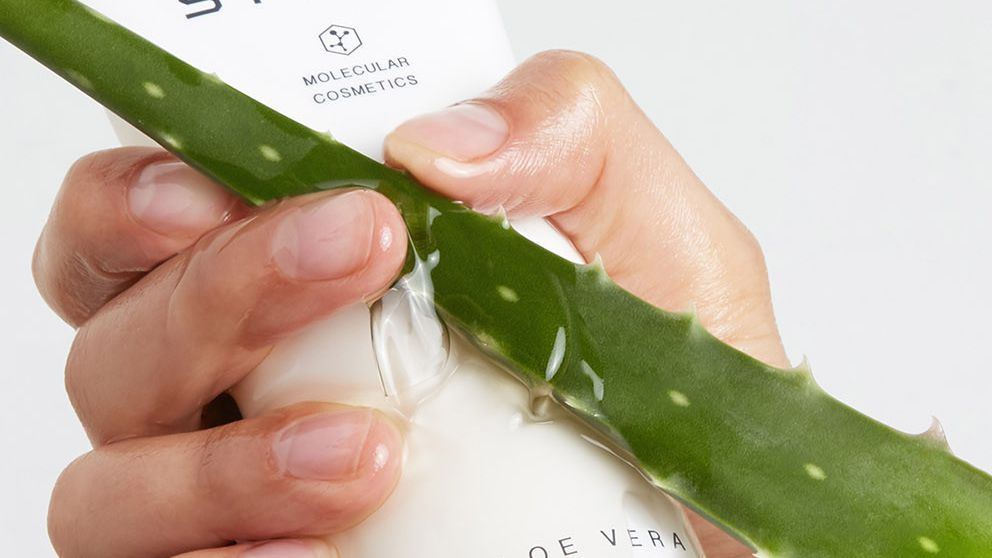 Is aloe vera good for skin? A dermatologist weighs in
