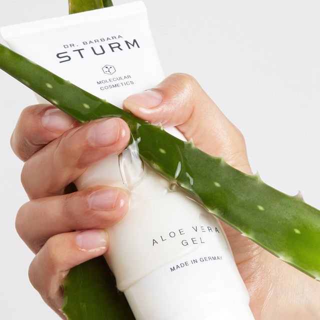 Is aloe vera good for skin? A dermatologist weighs in