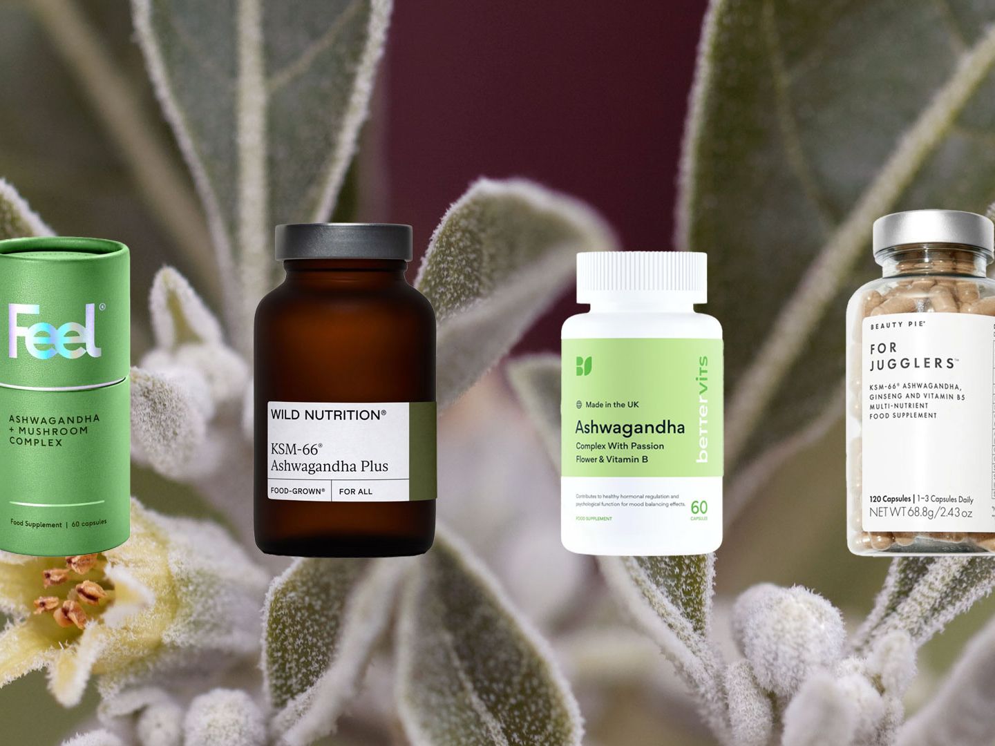 This supplement has solved my sleep and focus issues in just a few weeks